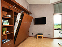 Murphy Bed and Work out room